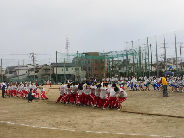 IMG_2201.JPG