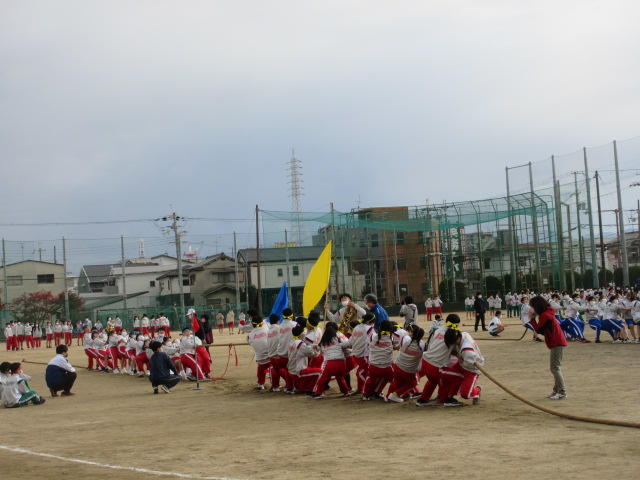 IMG_2281.JPG