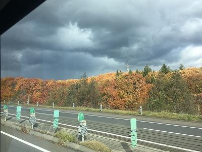 IMG_4226.jpg