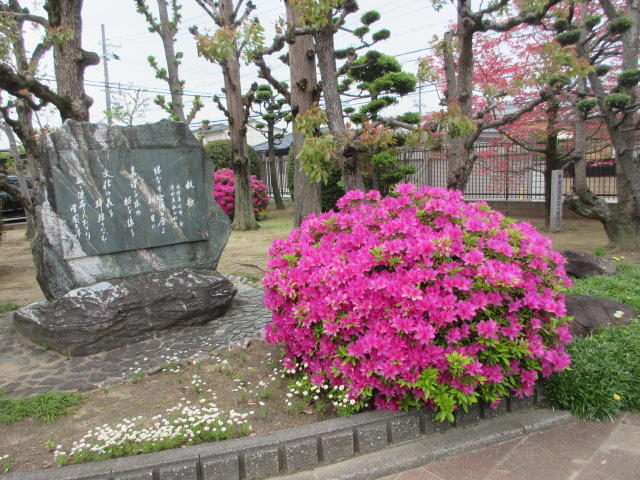 IMG_5625.JPG