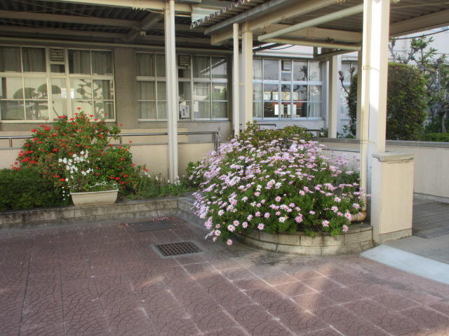 IMG_5708.JPG