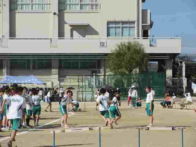 IMG_6127.jpg