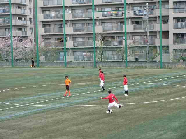 IMG_6544.jpg