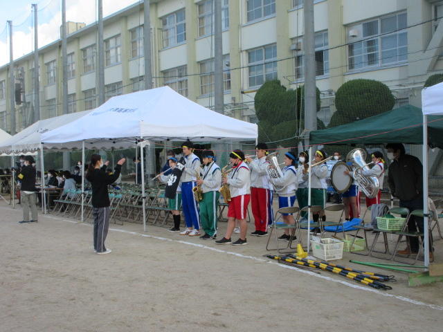IMG_7293.JPG