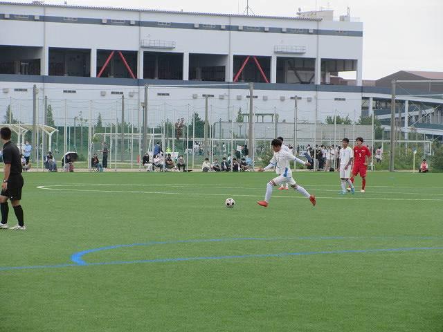 IMG_7941.jpg