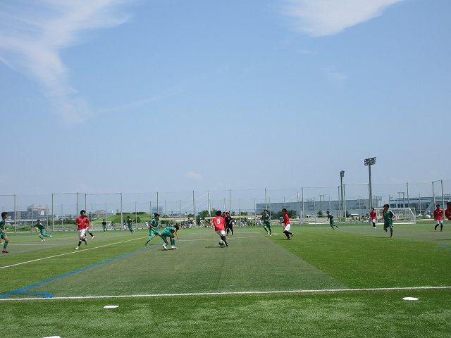 IMG_8228.jpg
