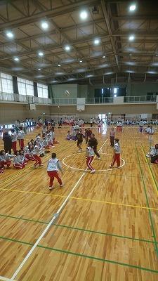 IMG_8440.jpg