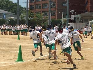 IMG_4491.jpg