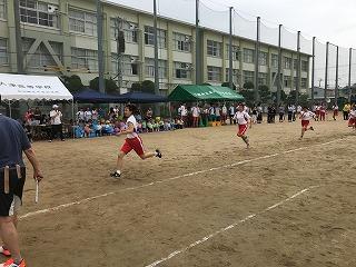 IMG_8839.jpg