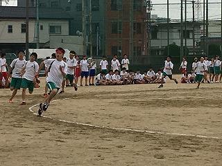IMG_8867.jpg
