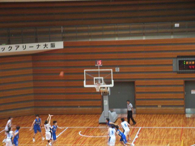 IMG_8741.jpg