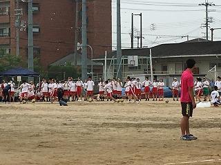 IMG_8955.jpg
