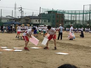 IMG_8972.jpg
