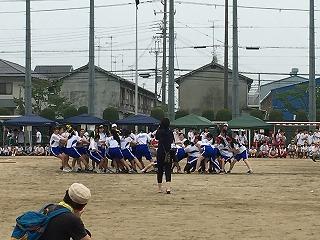 IMG_8988.jpg