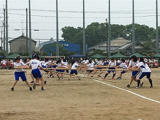 IMG_8993.jpg