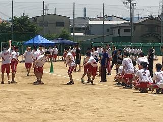 IMG_4482.jpg