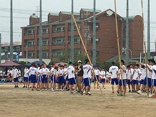 IMG_9015.jpg