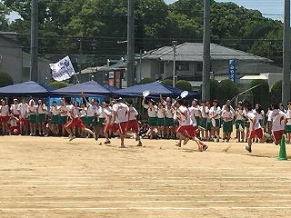 IMG_4480.jpg