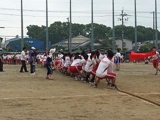 IMG_9229.jpg