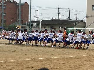 IMG_9247.jpg