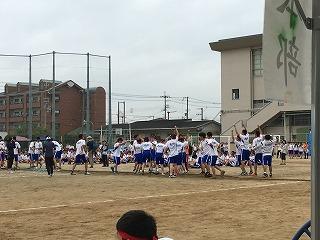 IMG_9252.jpg