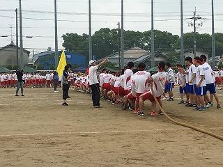 IMG_9254.jpg