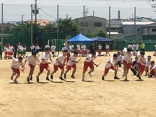 IMG_4477.jpg