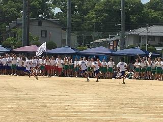 IMG_4465.jpg
