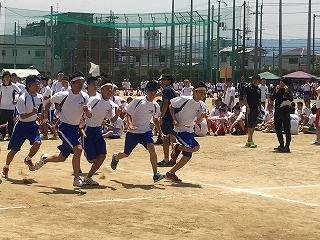 IMG_4462.jpg
