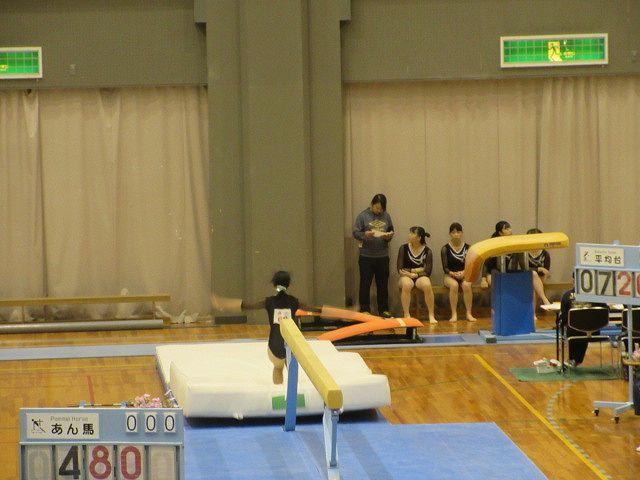 IMG_8533.jpg