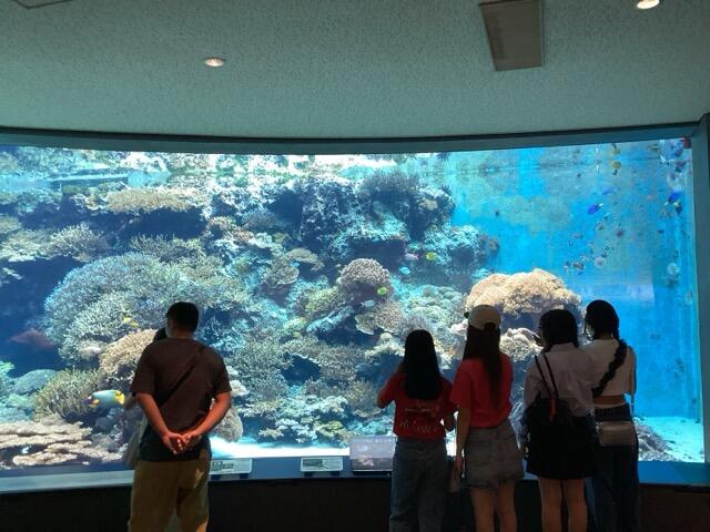 IMG_2538（中）.jpeg