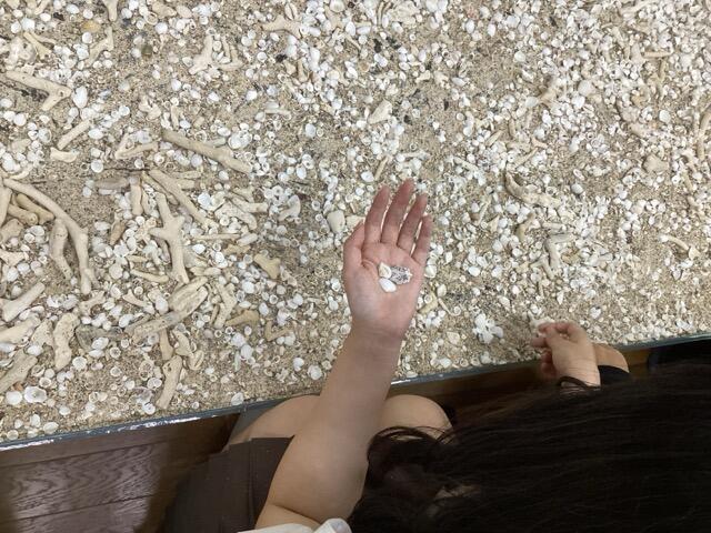 IMG_2447（中）.jpeg