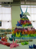 IMG_5884.jpg