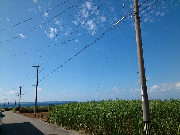 2015_120812_2143_362.jpg