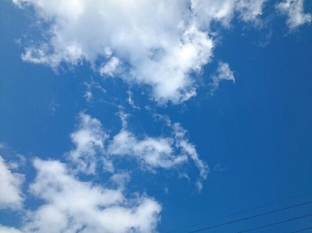 2015_120813_4552_313.jpg