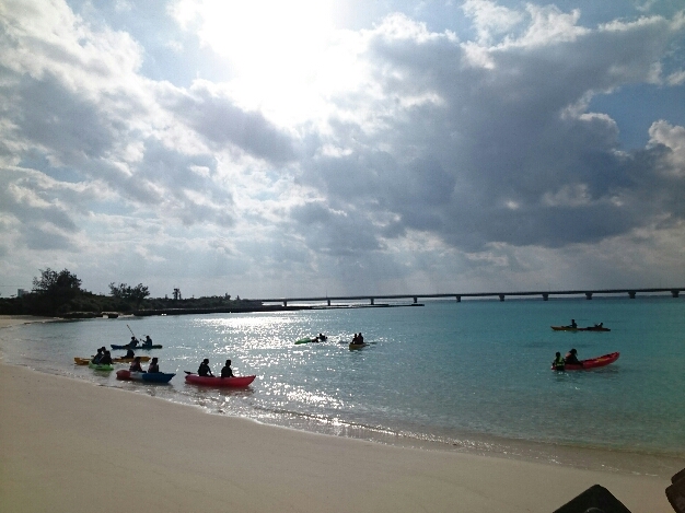 2015_120909_5920_782.jpg