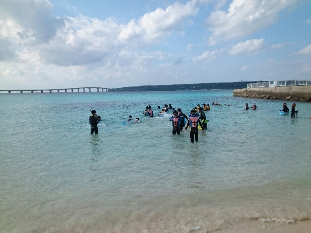 2015_120910_0241_767.jpg