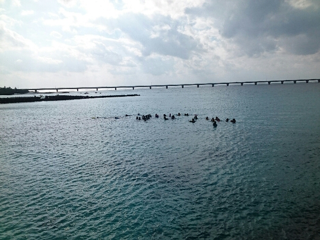 2015_120910_0505_380.jpg