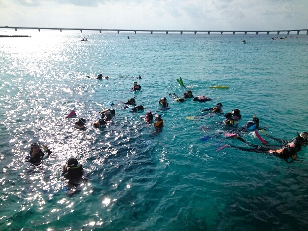 2015_120910_1354_652.jpg