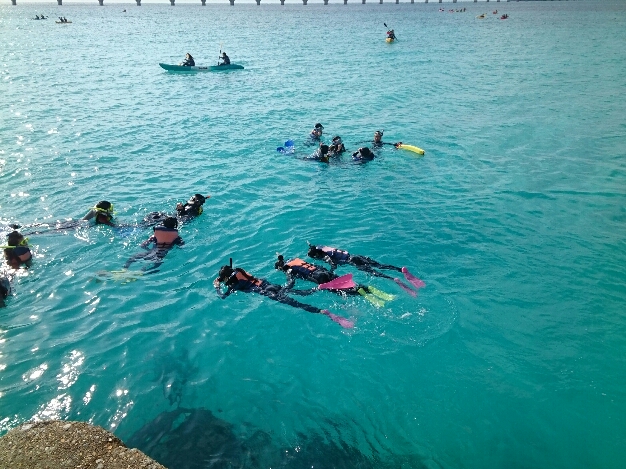 2015_120910_1457_328.jpg