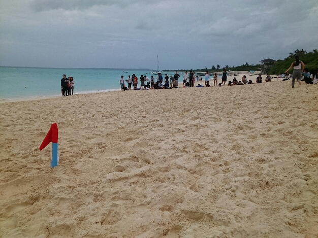 2015_120915_3643_414.jpg