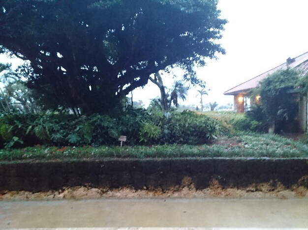 2015_121007_1744_821.jpg