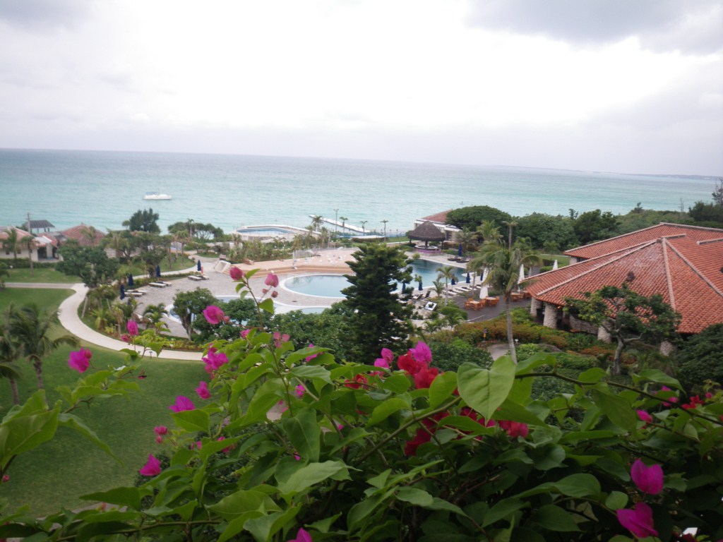IMGP0059.JPG