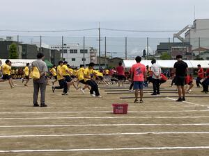 IMG_1688[1].JPG