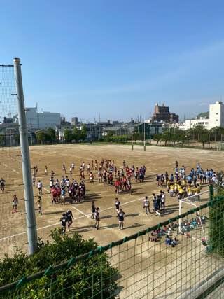 IMG_3393.jpeg
