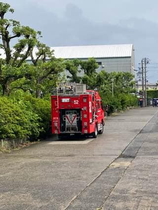 IMG_3438.jpeg