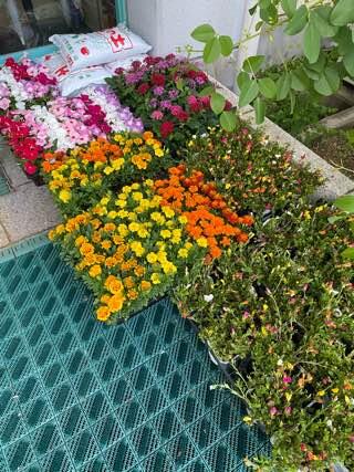 IMG_3490.jpeg