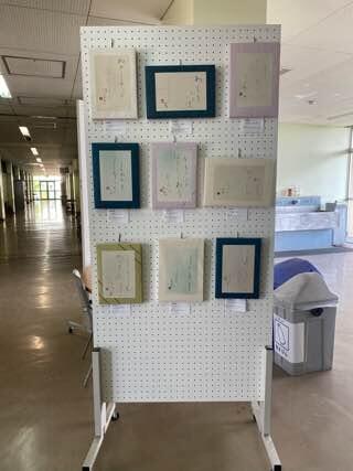 IMG_6489.jpeg