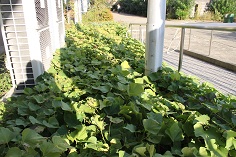 2012_1024_153824AA.JPG