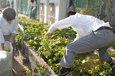 2012_1024_154218AA.JPG